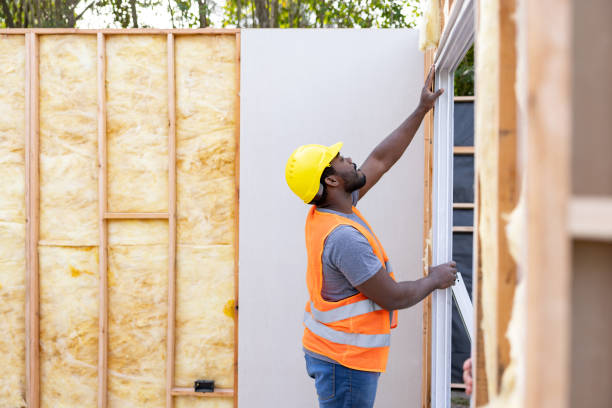 Best Professional Insulation Contractor  in Dillsboro, IN